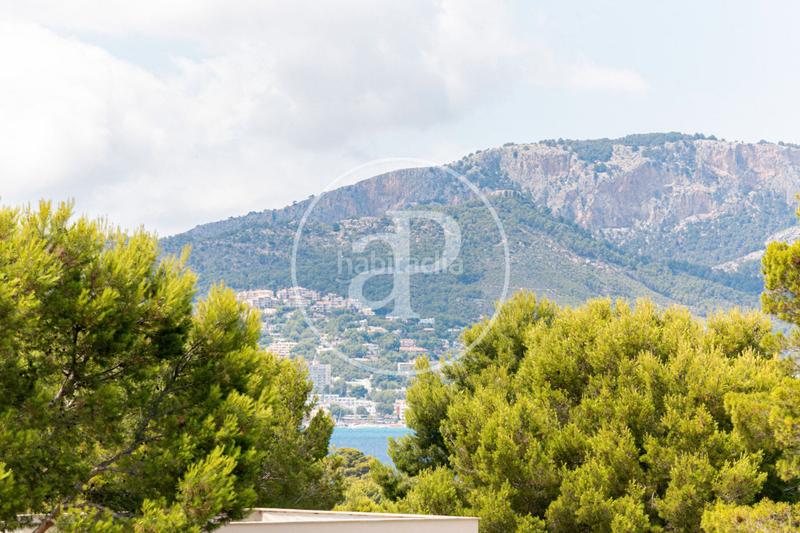 Foto 424579c8-612c-44c2-a537-3d597dc2e2e4. Casa  en venta en Santa Ponça en Santa Ponça Calvià