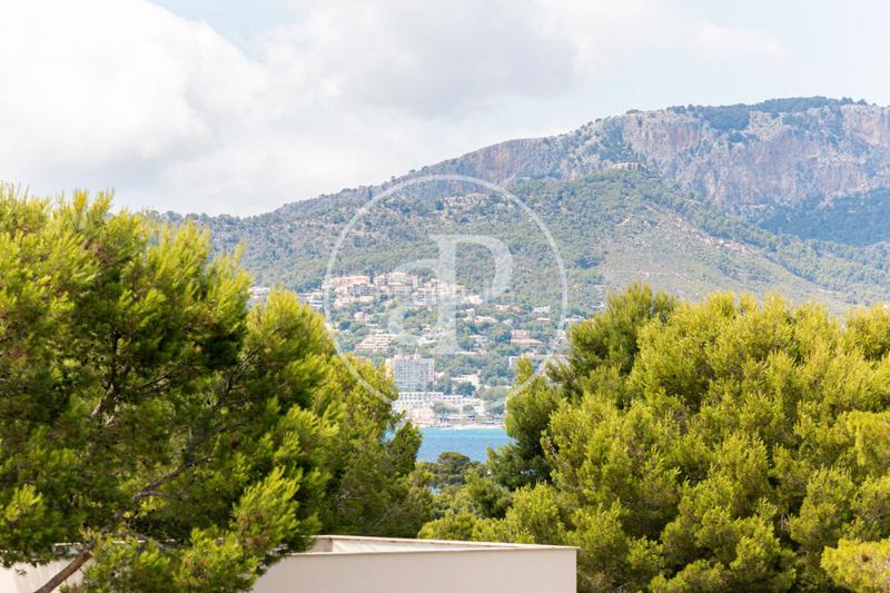 Foto 97ec6251-1b4a-4d02-9d25-2d9b18c7b26c. Casa  en venta en Santa Ponça en Santa Ponça Calvià