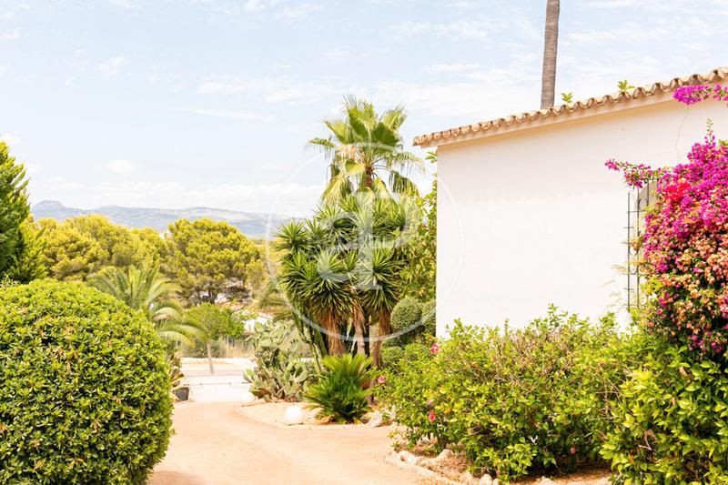 Foto 9bb24936-6f74-4997-8284-2ac3e088dddc. Casa  en venta en Santa Ponça en Santa Ponça Calvià