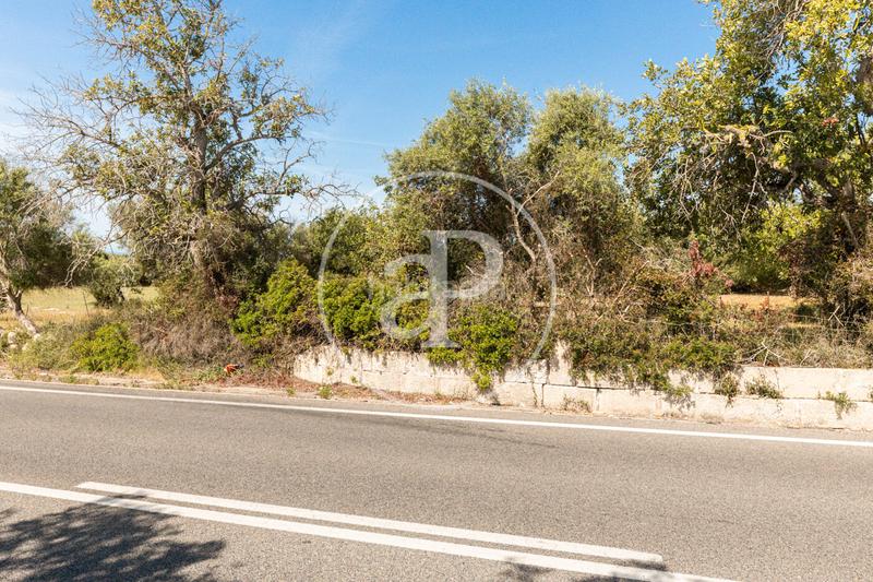 Foto d1e9243a-ca55-414c-a13f-fe8213d842fb. Terrain résidentiel dans S´Horta - Cas Concos des Cavaller - Es Carritxó Felanitx