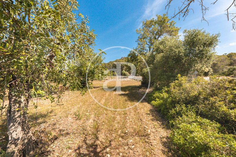 Foto 0819004d-d0ff-48be-a93e-19fb84b1149c. Terreno residenziale in S´Horta - Cas Concos des Cavaller - Es Carritxó Felanitx