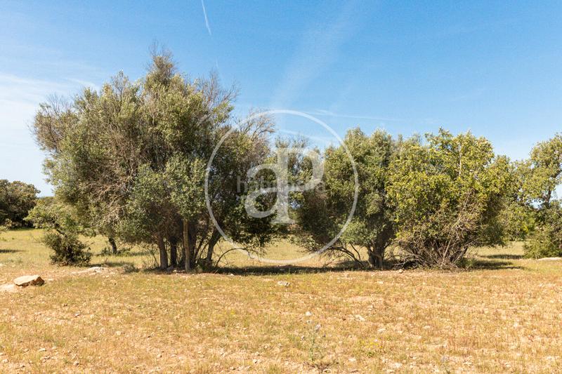Foto 32948c65-b5f2-45e5-bcf8-991624d73133. Terreno residenziale in S´Horta - Cas Concos des Cavaller - Es Carritxó Felanitx