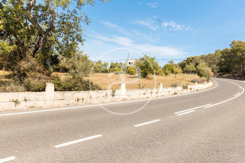 Foto 6632e870-ce03-4a2b-99a6-804011de0cbf. Terreno residenziale in S´Horta - Cas Concos des Cavaller - Es Carritxó Felanitx