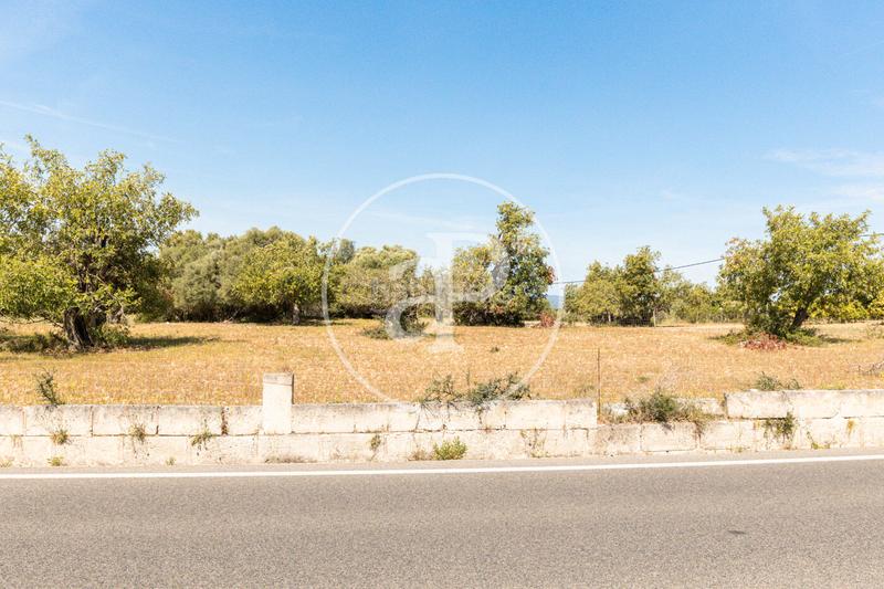 Foto 6e7eb784-db15-48e0-bda3-3776240073d0. Terreno residenziale in S´Horta - Cas Concos des Cavaller - Es Carritxó Felanitx