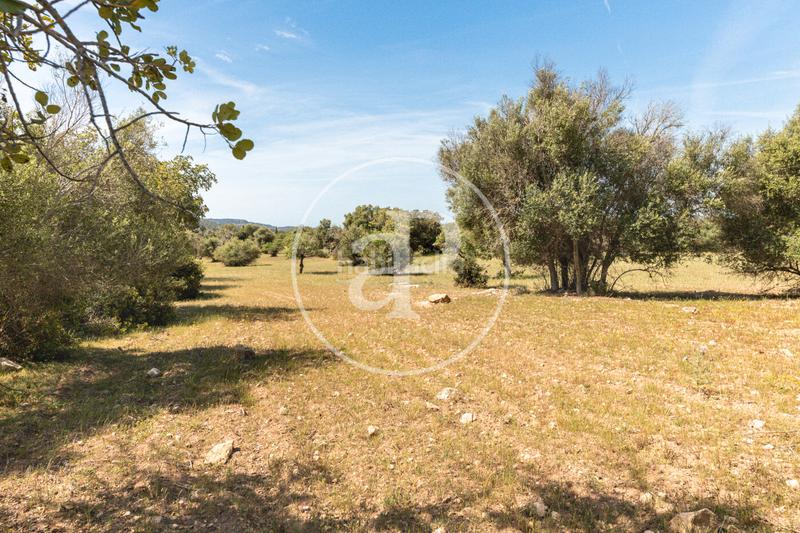 Foto 876d61c4-69ca-48e4-81c8-d05776c2db6f. Terreno residenziale in S´Horta - Cas Concos des Cavaller - Es Carritxó Felanitx