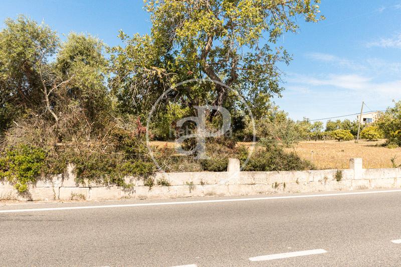 Foto bcbed374-c098-47e7-9c16-232eb8805a28. Terreno residenziale in S´Horta - Cas Concos des Cavaller - Es Carritxó Felanitx