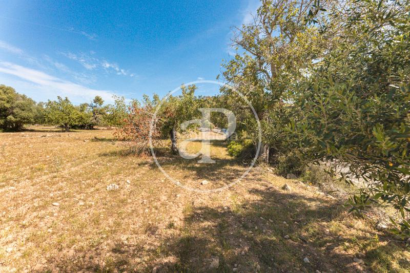 Foto c3eaf2ac-bf3d-43f8-83c2-e201ce54a766. Terreno residenziale in S´Horta - Cas Concos des Cavaller - Es Carritxó Felanitx