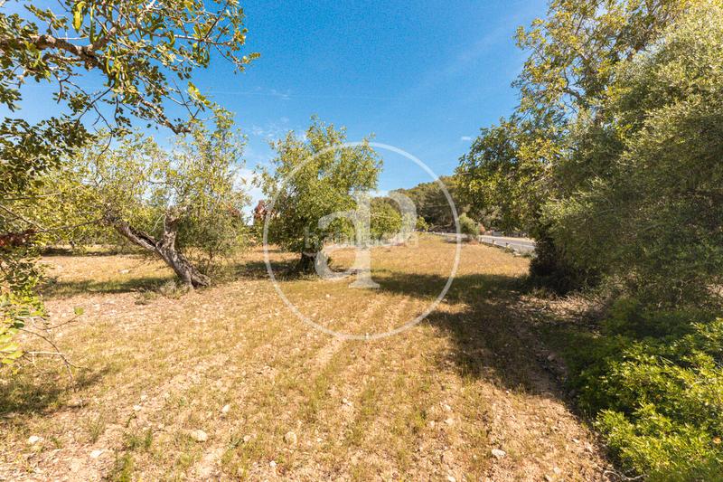 Foto cacde2d1-1999-4c10-840f-a2299d653366. Terreno residenziale in S´Horta - Cas Concos des Cavaller - Es Carritxó Felanitx