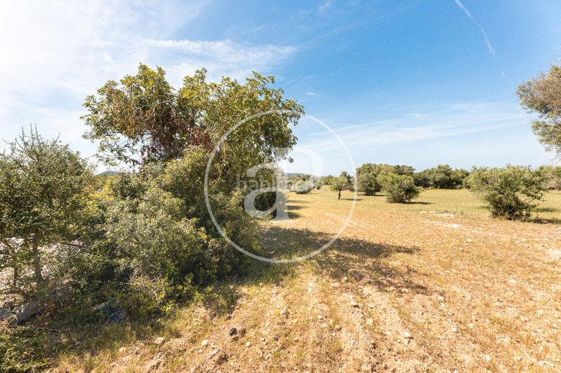 Foto d30ae816-33ae-4c6a-ad12-e91ee9bc56be. Terreno residenziale in S´Horta - Cas Concos des Cavaller - Es Carritxó Felanitx