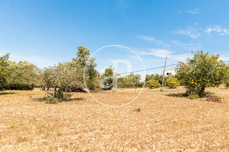 Foto d6816823-f89f-4382-9cf1-b72330612625. Terreno residenziale in S´Horta - Cas Concos des Cavaller - Es Carritxó Felanitx