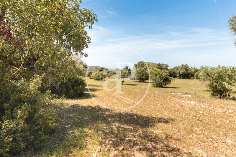 Foto e39aaffe-8daf-44eb-a0ef-a01156d4032a. Terreno residenziale in S´Horta - Cas Concos des Cavaller - Es Carritxó Felanitx