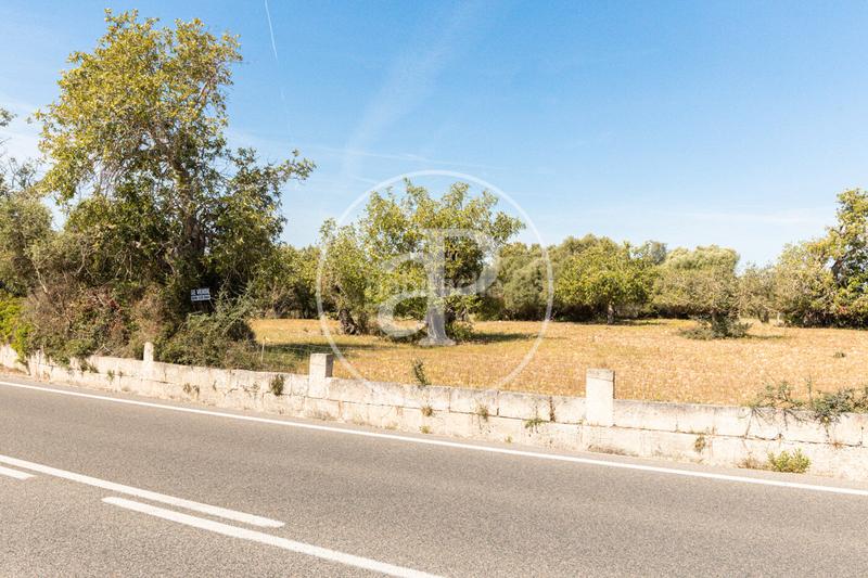 Foto f0bfc0cd-a4e8-4431-9cf0-a3e0c262725a. Terreno residenziale in S´Horta - Cas Concos des Cavaller - Es Carritxó Felanitx