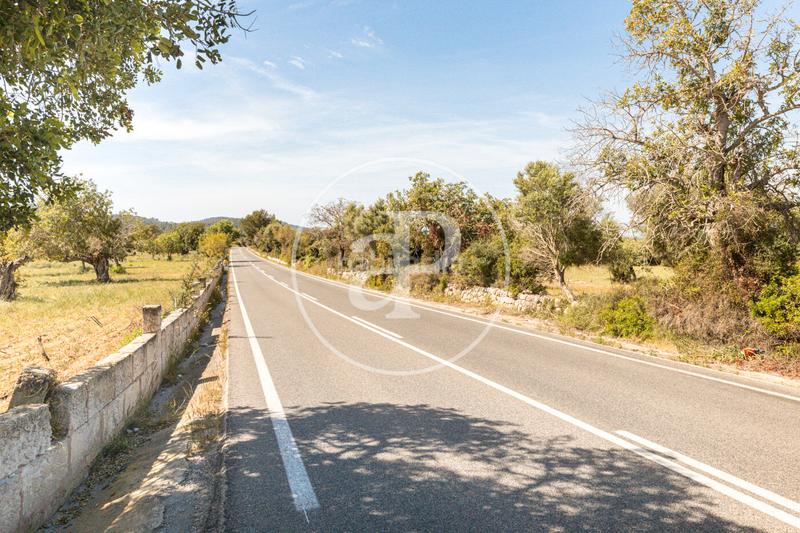 Foto fbdefefb-5afe-490a-b333-1da597d02ed3. Terreno residenziale in S´Horta - Cas Concos des Cavaller - Es Carritxó Felanitx