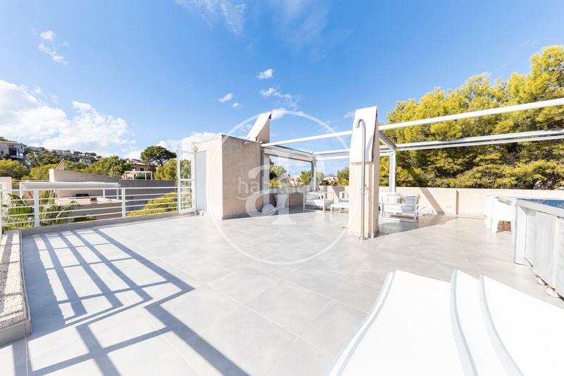 Foto 72ed4ee8-a97f-4558-a5e8-4c57b0067b5b. Lloguer dúplex amb aparcament a port d´Andratx Andratx