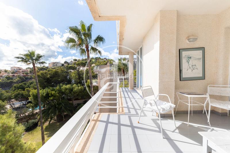 Foto b47d90f4-ede9-4150-bb07-877bda0927a4. Rent duplex with parking in port d´Andratx Andratx