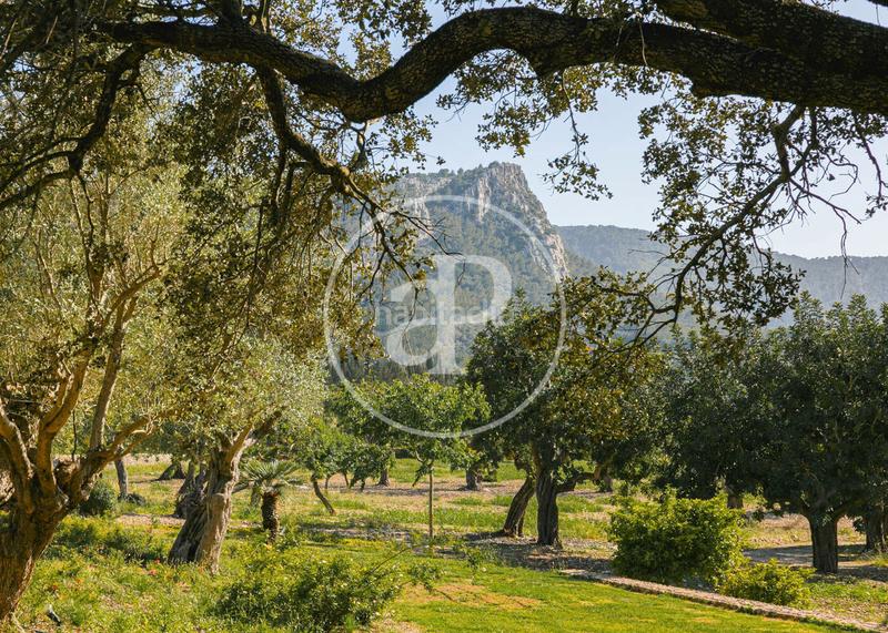 Foto abb1cc50-8184-42cb-8cd5-bacd4b0ce73c. Affitto casa con riscaldamento parcheggio piscina in Pollença