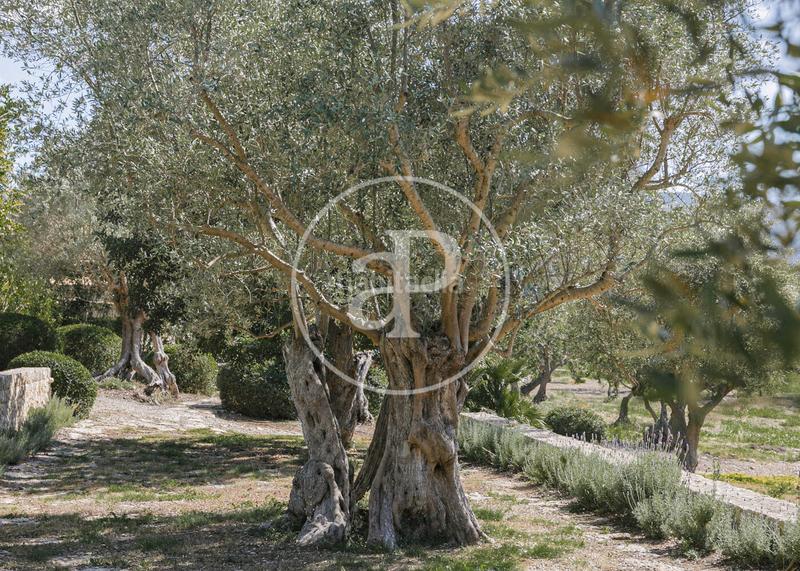 Foto b1c16550-0bff-4159-8212-9037db6567b3. Lloguer casa amb calefacció aparcament piscina a Pollença