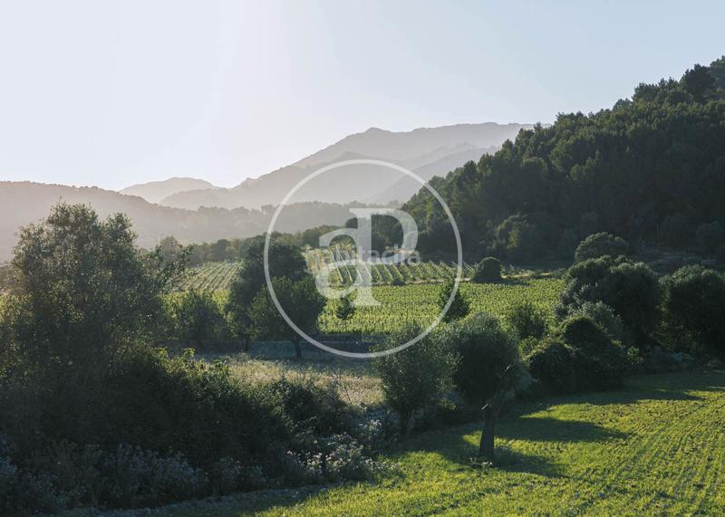 Foto 6642b03d-d8dc-49aa-a892-a13dbe45ab74. Miete haus mit heizung parking pool in Pollença poble Pollença