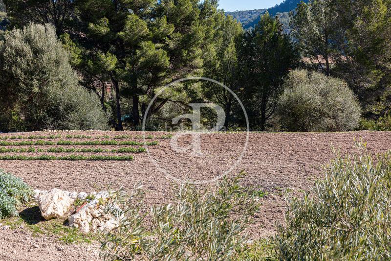 Foto 10500e7d-24e2-4678-9c72-fb8fdb9bd67c. Terreno residenziale in Puigpunyent