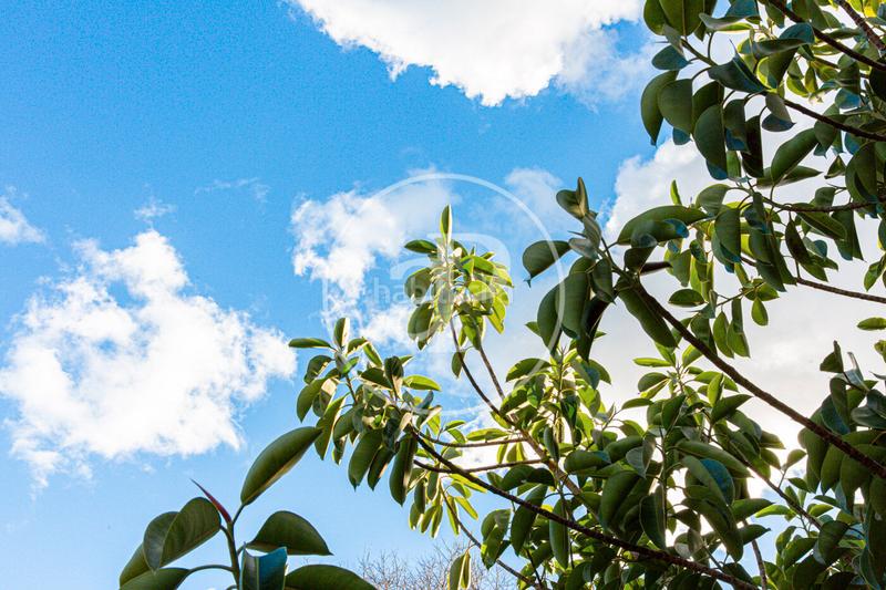 Foto 08fa5670-9f62-4f1c-9997-3d317acbbb0a. Terreny residencial a Santa Margalida poble Santa Margalida