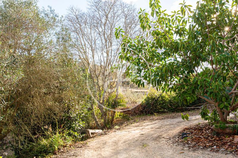 Foto 867bb3be-4733-42f8-b2d2-8df5bb22d7dd. Terreny residencial a Santa Margalida poble Santa Margalida