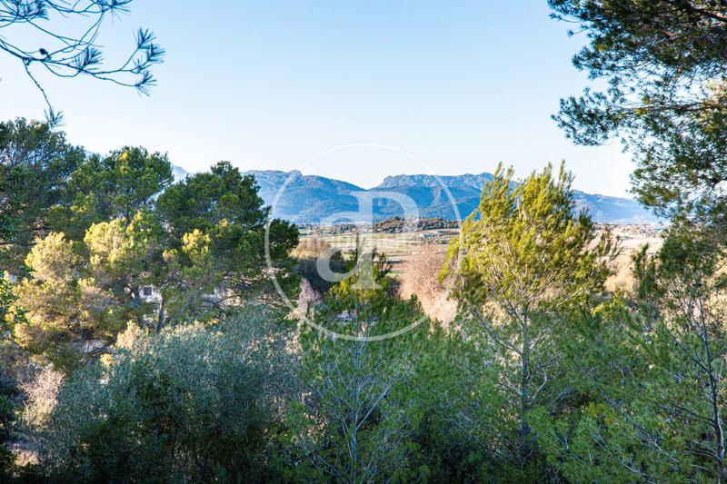 Foto 92536221-4bd0-44b7-8165-c840b9256441. Terreny residencial a Santa Margalida poble Santa Margalida