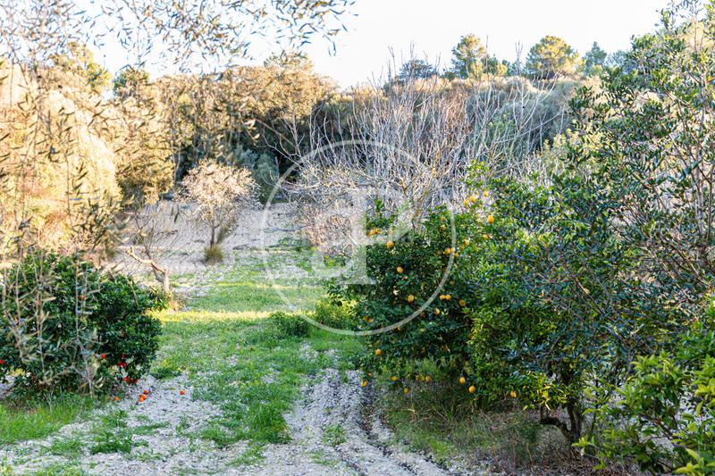 Foto 9f4c14b2-6dac-4e1b-81f0-43ec4f6fec99. Terreny residencial a Santa Margalida poble Santa Margalida