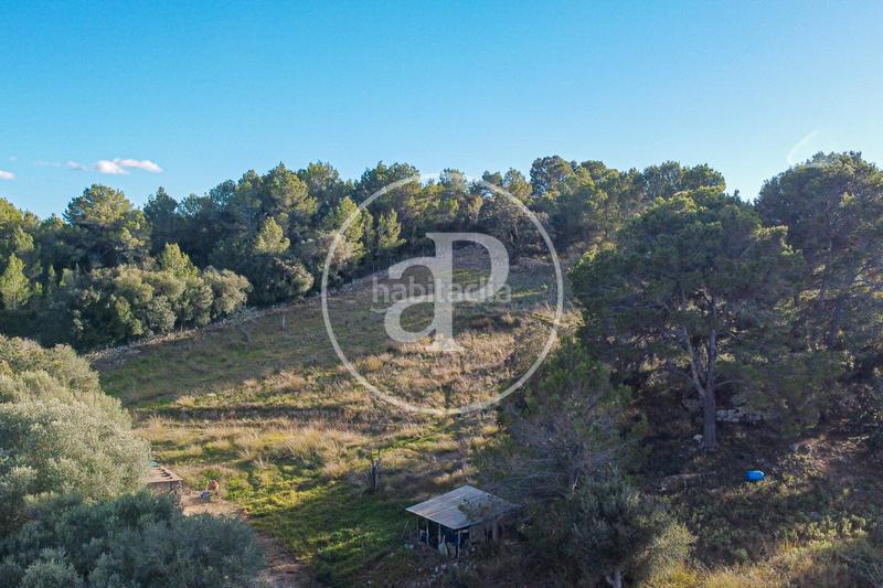 Foto cb77de0f-2b52-4da5-bf29-f650d93904aa. Terreny residencial a Santa Margalida poble Santa Margalida