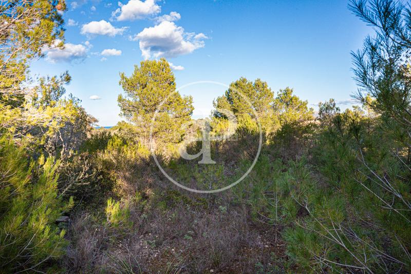 Foto d4dbe298-c230-47a4-b779-68f7453b7495. Terreny residencial a Santa Margalida poble Santa Margalida