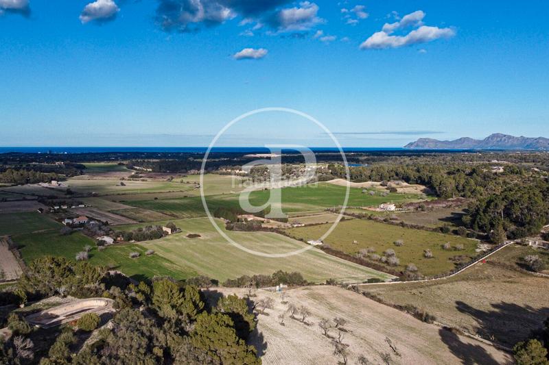 Foto d7cde9d6-1d74-4738-9bdb-80efa5a12813. Terreny residencial a Santa Margalida poble Santa Margalida