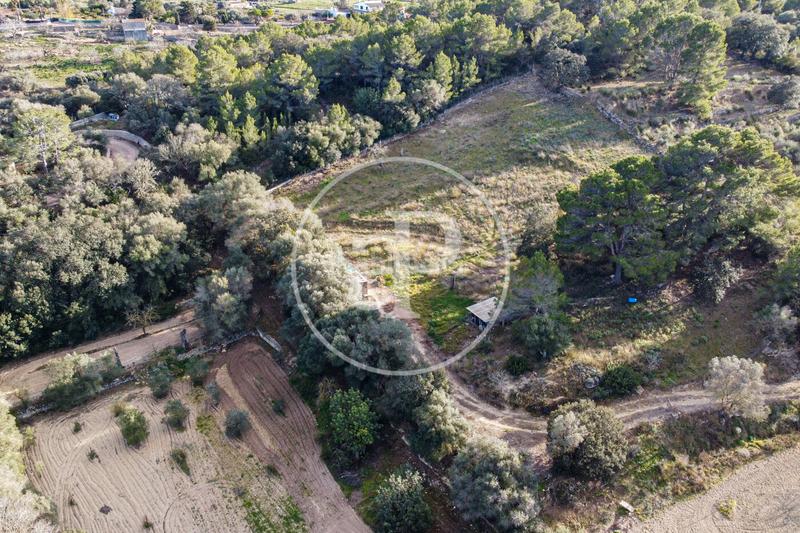 Foto dfc946c5-c194-4e55-b4af-b48000afca2f. Terreny residencial a Santa Margalida poble Santa Margalida