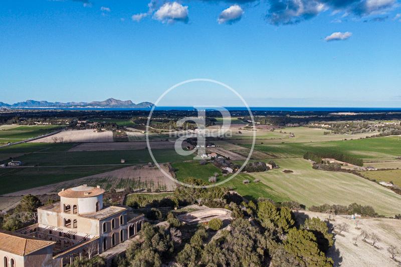 Foto e5924945-3503-4a1b-a4a3-fbf311b5689a. Terreny residencial a Santa Margalida poble Santa Margalida