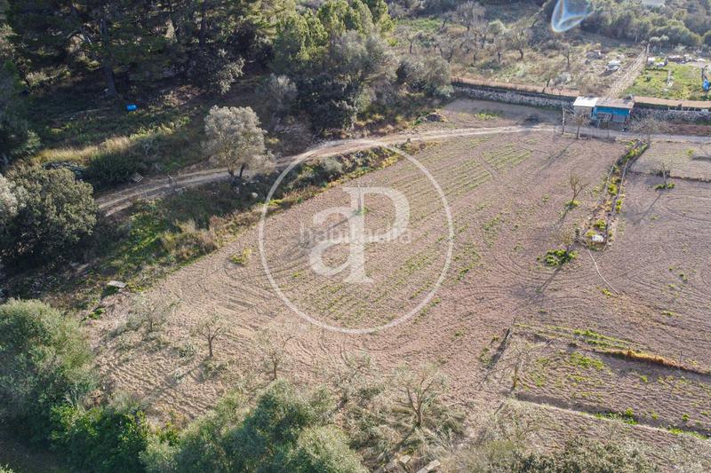 Foto 41eec0c2-6818-4bb8-8890-158749cb03de. Terrain résidentiel dans Santa Margalida poble Santa Margalida