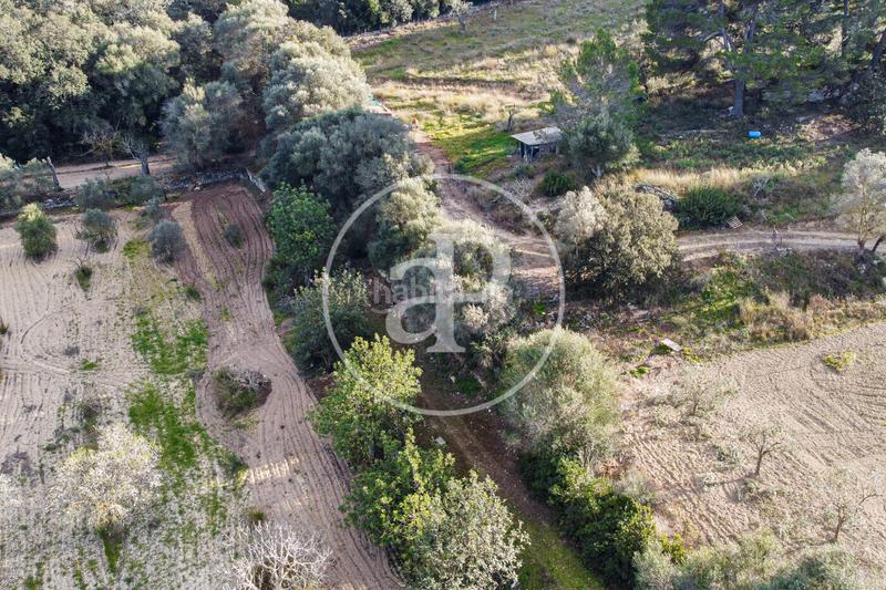 Foto 636eefef-acc6-4297-bd7e-7c69821a2a18. Terrain résidentiel dans Santa Margalida poble Santa Margalida