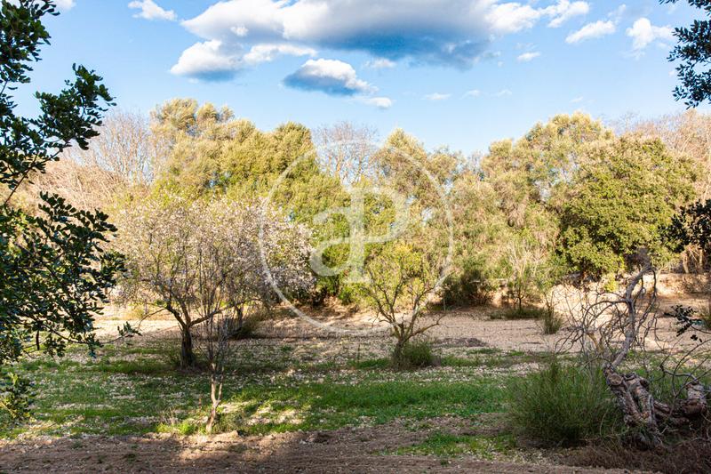 Foto bceb6cdb-eb6c-4a27-b22a-7ae7e4f6645c. Terrain résidentiel dans Santa Margalida poble Santa Margalida