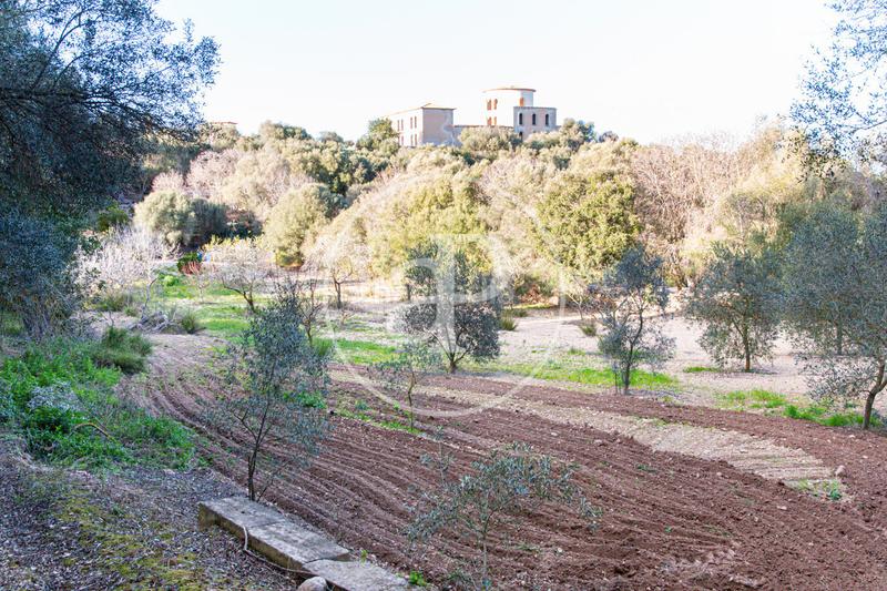 Foto d8919863-91ad-47b9-9cd0-59752da52f48. Terrain résidentiel dans Santa Margalida poble Santa Margalida