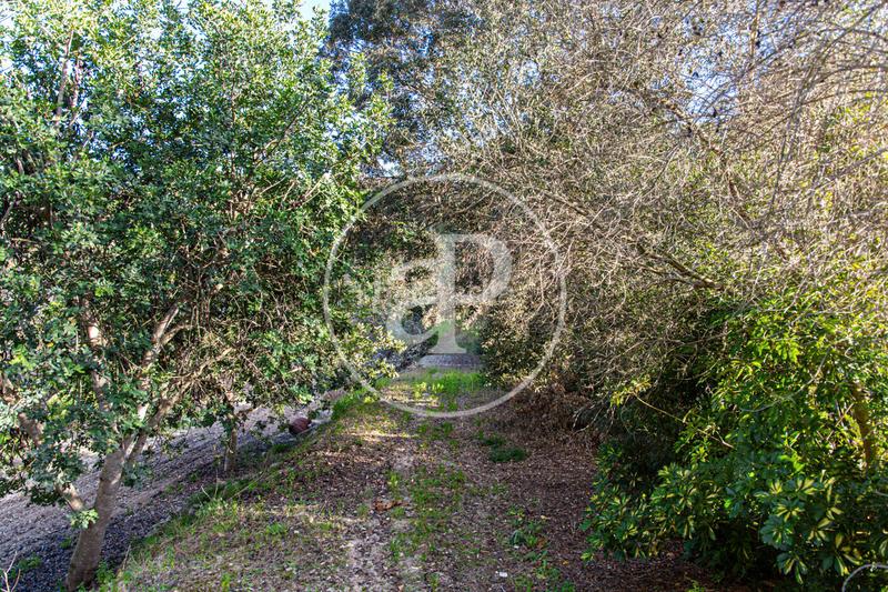 Foto fb8cf645-50d7-4c79-a7f2-e38493a98b9f. Terrain résidentiel dans Santa Margalida poble Santa Margalida