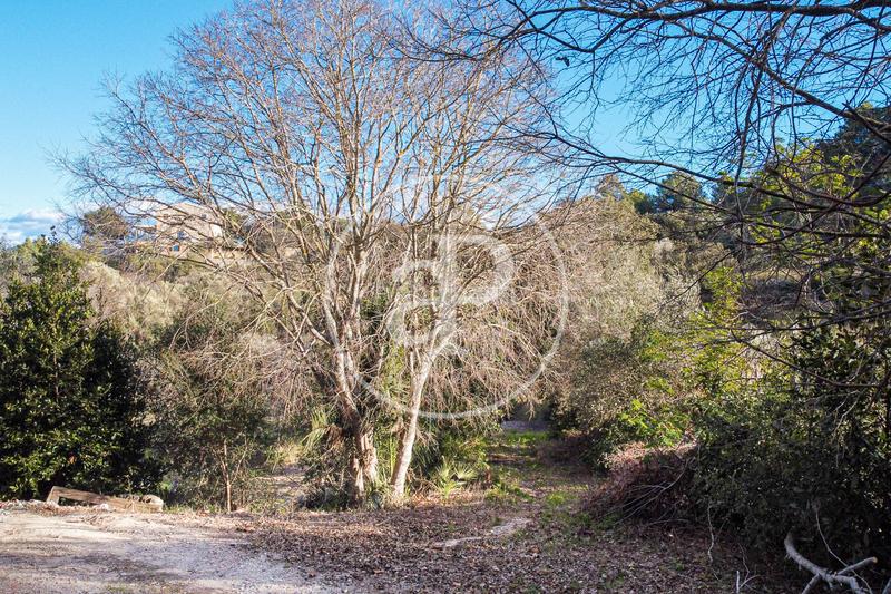 Foto 02dec289-10dd-4d92-819c-955c08430831. Terreno residenziale in Santa Margalida poble Santa Margalida