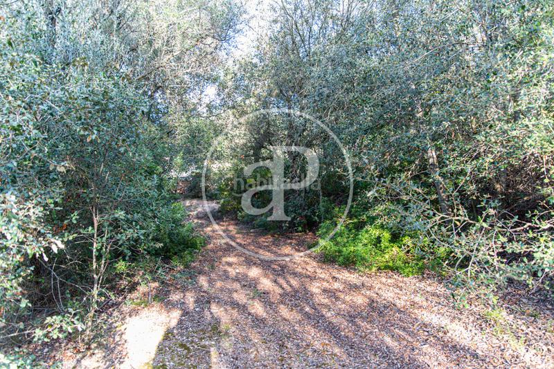 Foto 1016bd58-9e0c-45b2-9f2d-4545146faf65. Terreno residenziale in Santa Margalida poble Santa Margalida