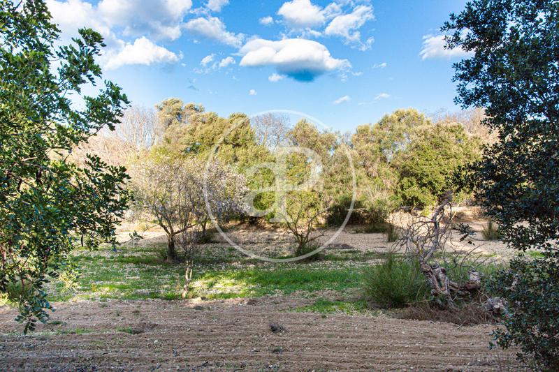 Foto 2a345b63-2039-41c8-a8c2-e996d32c96f2. Terreno residenziale in Santa Margalida poble Santa Margalida