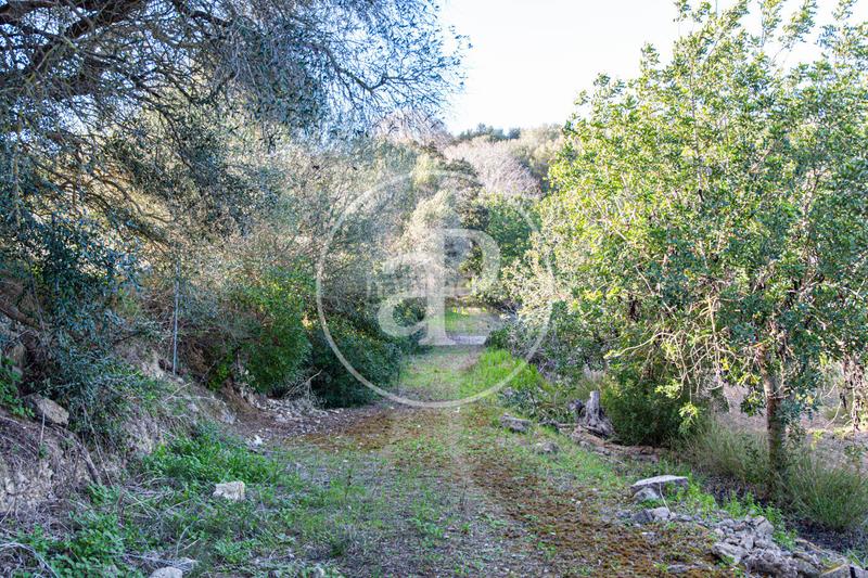 Foto 33a9bab8-0863-4fb3-9362-9077b7157ede. Terreno residenziale in Santa Margalida poble Santa Margalida