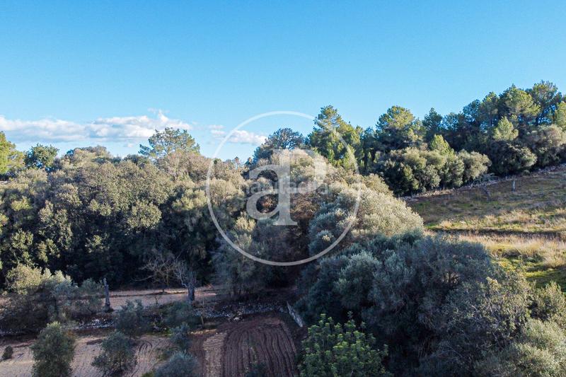 Foto 428f047b-0ff1-493a-922e-69151af4e834. Terreno residenziale in Santa Margalida poble Santa Margalida