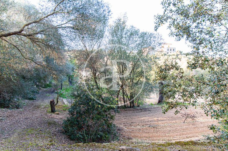 Foto 56a4390d-63e6-4698-9cb6-26044b53c04e. Terreno residenziale in Santa Margalida poble Santa Margalida