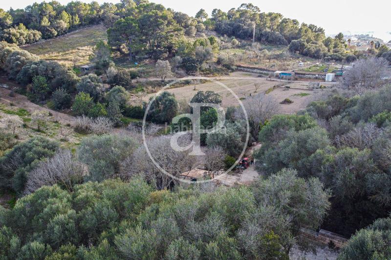Foto 6a3624ad-3a5b-49d8-bab3-a2fa9d6f25a9. Terreno residenziale in Santa Margalida poble Santa Margalida