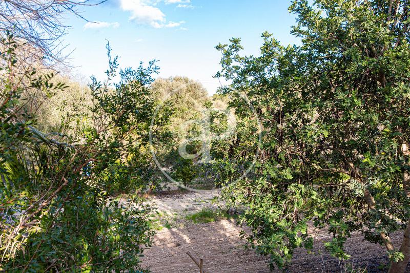 Foto 80733d74-3701-4182-81d3-a08d965e3b5c. Terreno residenziale in Santa Margalida poble Santa Margalida