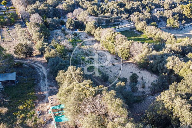 Foto a2111ad5-6554-47a5-8492-753b1992e5a5. Terreno residenziale in Santa Margalida poble Santa Margalida