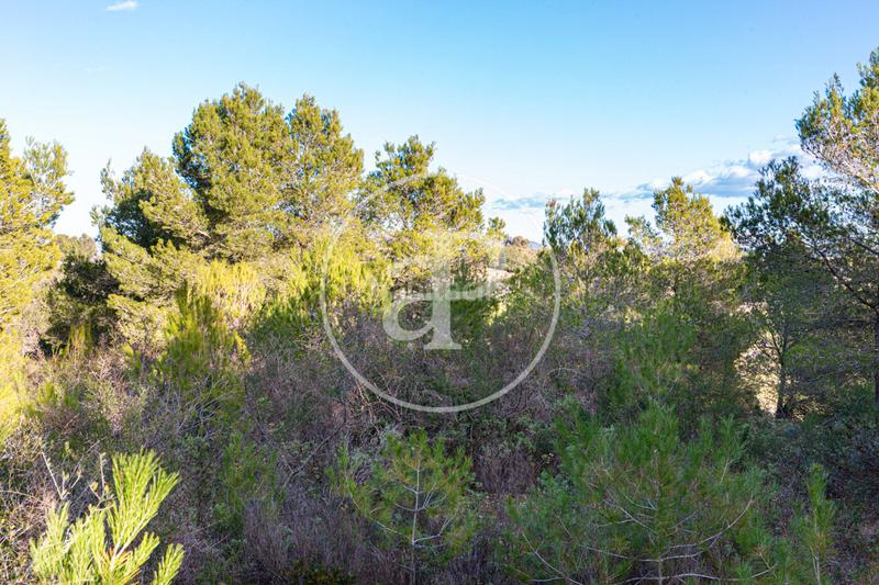 Foto be81afac-1edf-4ecd-95ac-fdbc375caa3b. Terreno residenziale in Santa Margalida poble Santa Margalida