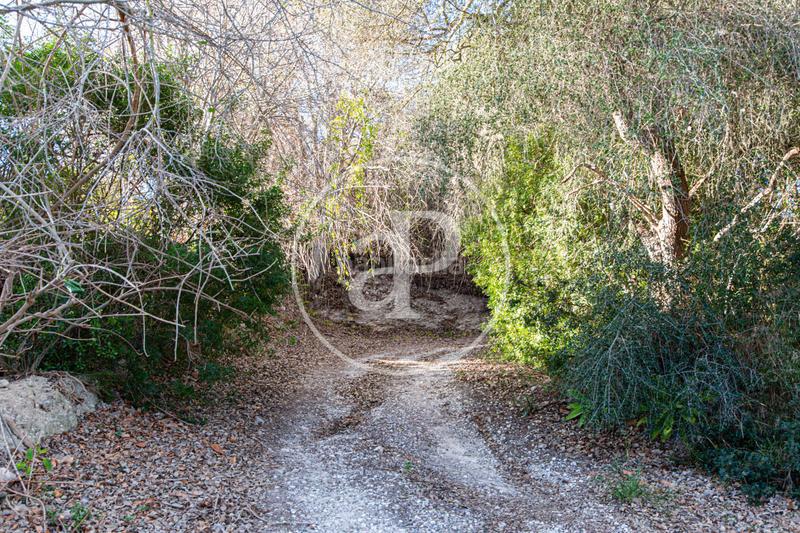 Foto 1ca4e6a5-1bc6-4aa9-ac1d-b328d743e508. Wohngrundstück in Santa Margalida poble Santa Margalida