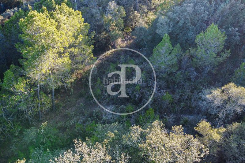 Foto 37f7ff3a-3dd2-454c-9f4d-6d47d9734ef7. Wohngrundstück in Santa Margalida poble Santa Margalida