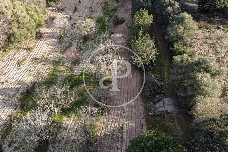 Foto 42742b7c-f822-4ecf-98f9-803aac4babe9. Wohngrundstück in Santa Margalida poble Santa Margalida